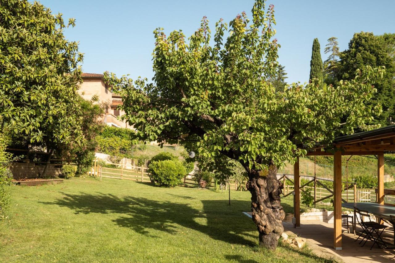Toscana Da Sogno A Villa Allegria Сиена Экстерьер фото