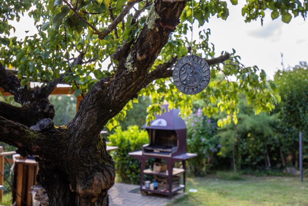 Toscana Da Sogno A Villa Allegria Сиена Экстерьер фото